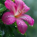 IMG-20260120-WA0001